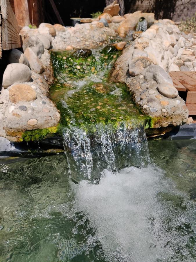 ユショーL'Etang Des Cigalesアパートメント エクステリア 写真