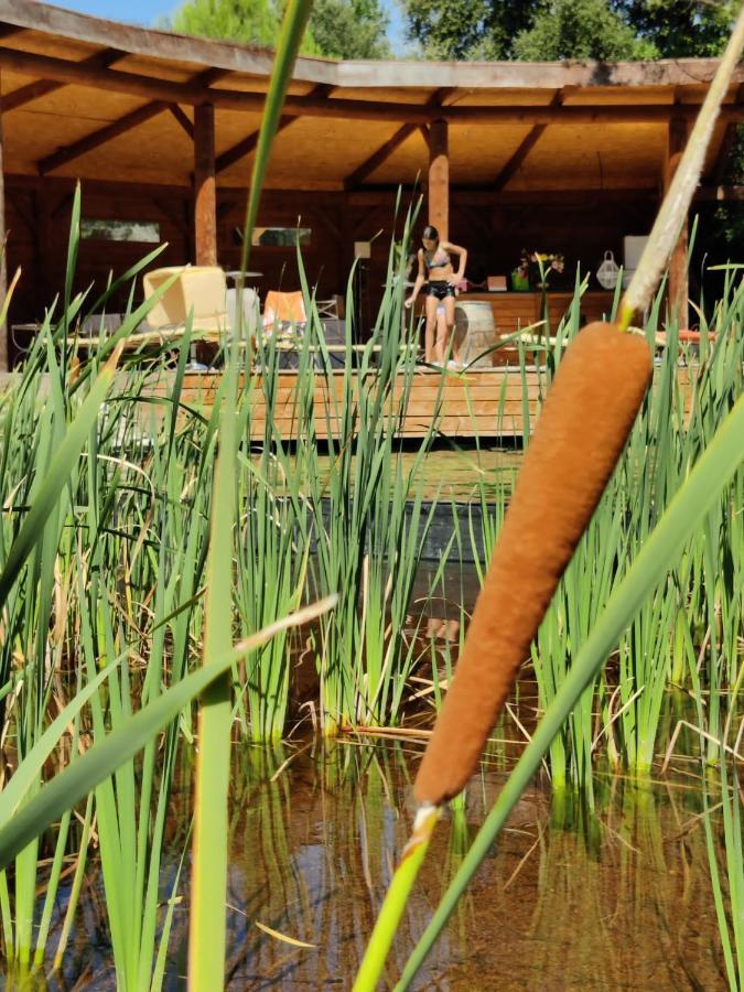 ユショーL'Etang Des Cigalesアパートメント エクステリア 写真